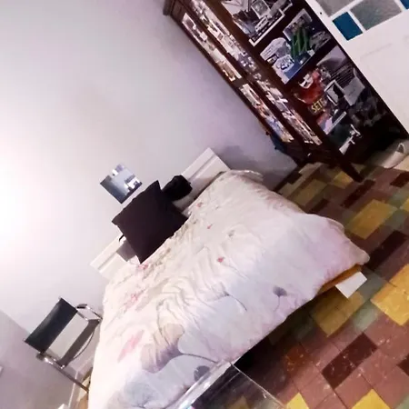 Un Nid D Au Coeur De Sète